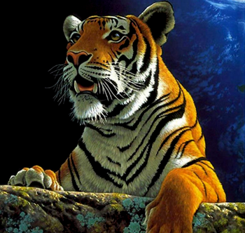 Obrázek Diamantové malování basic - tygr