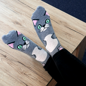 Obrázek Veselé ponožky s kočičkou - šedé