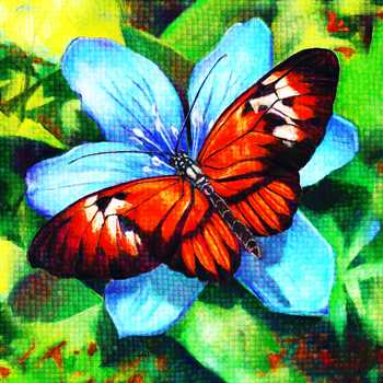 Obrázek Diamantové malování basic - motýlek