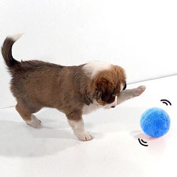Obrázek Pohyblivý míček pro mazlíčky