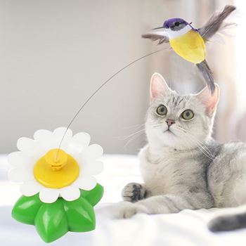 Obrázek Hračka pro kočky – létající kolibřík