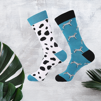 Obrázek z Veselé ponožky - dalmatin 