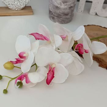 Obrázek z Umělé květiny orchidej - bílá 