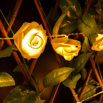 Obrázek z Svítící růže 