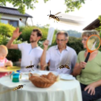 Obrázek z Elektrická plácačka - hmyzí paralyzér 