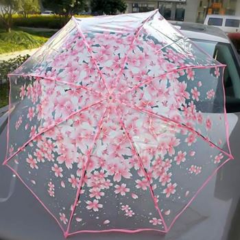 Obrázek z Průhledný deštník - květiny 
