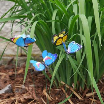 Obrázek z Zápich do květináče 24 ks - motýl 