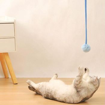 Obrázek z Pružinová hračka pro kočky s míčkem 