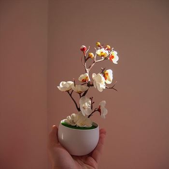 Obrázek z Umělá květina v květináči 