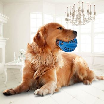 Obrázek z Žvýkací míček pro psy na čištění zubů - velký 