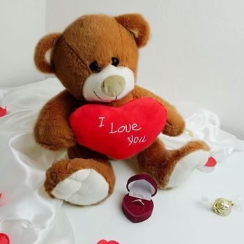 Obrázek Plyšový medvěd - Miluji tě/I Love You