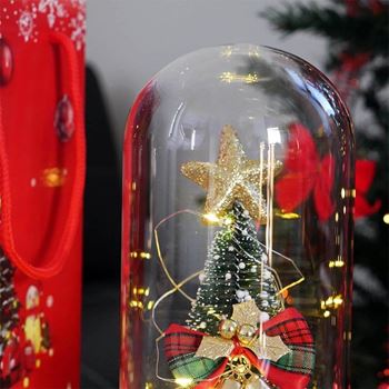 Obrázek z Svítící vánoční stromeček ve skleněné váze v dárkovém balení 