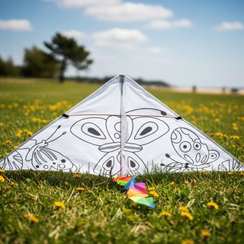 Obrázek Létající drak k vybarvení - motýlci