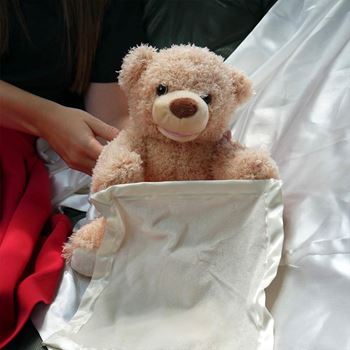 Obrázek Interaktivní mluvící medvídek