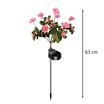 Obrázek Solární kytice