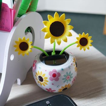 Obrázek Solární květina - slunečnice