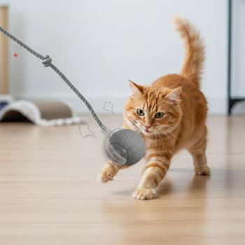 Obrázek Nabíjecí pohyblivý míček pro zvířata