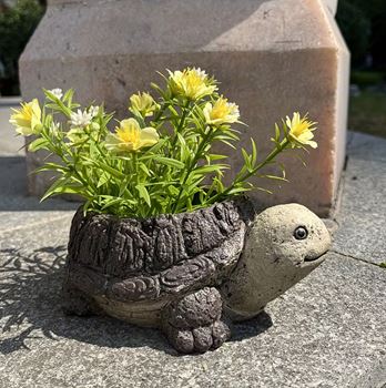 Obrázek Květináč - želva