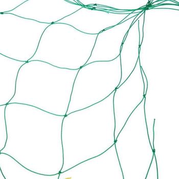 Obrázek z Podpůrná síť pro pěstování zeleniny a květin 