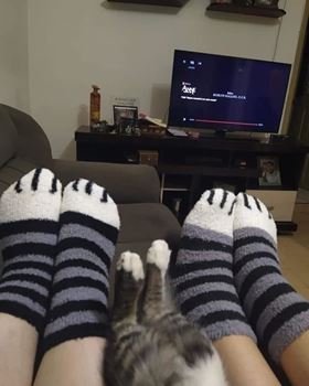 Obrázek z Chlupaté ponožky kočičí tlapky 